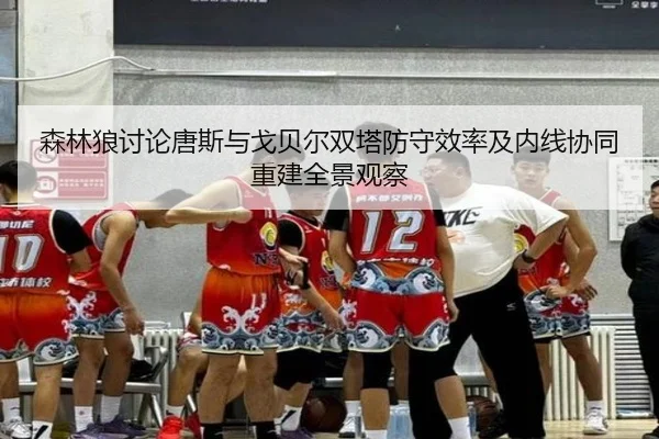 森林狼讨论唐斯与戈贝尔双塔防守效率及内线协同重建全景观察
